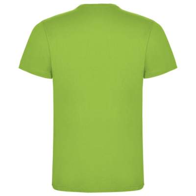 Camiseta Hombre Green Circle Verde | Dml Sport