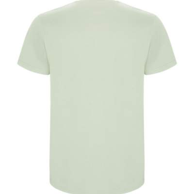 Camiseta casual de algodón para hombre Camiseta Hombre Green Circle Miami Verde Agua | Dml Sport